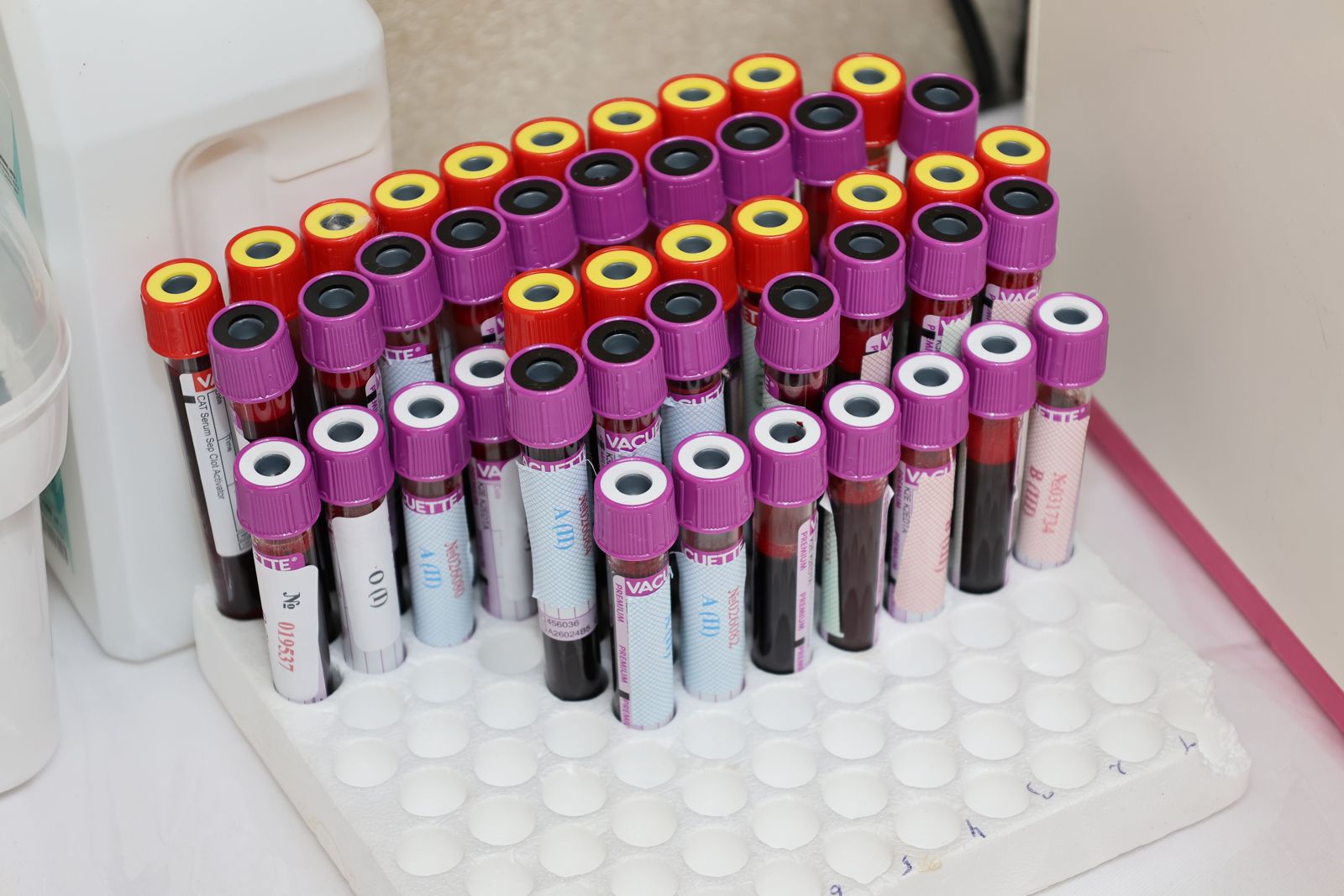 HORMONE EVALUATION — DETAIL